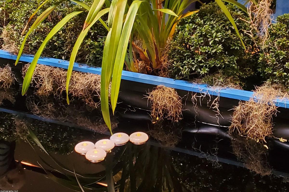Carrés potagers surélevés plantés de légumes à Toulouse