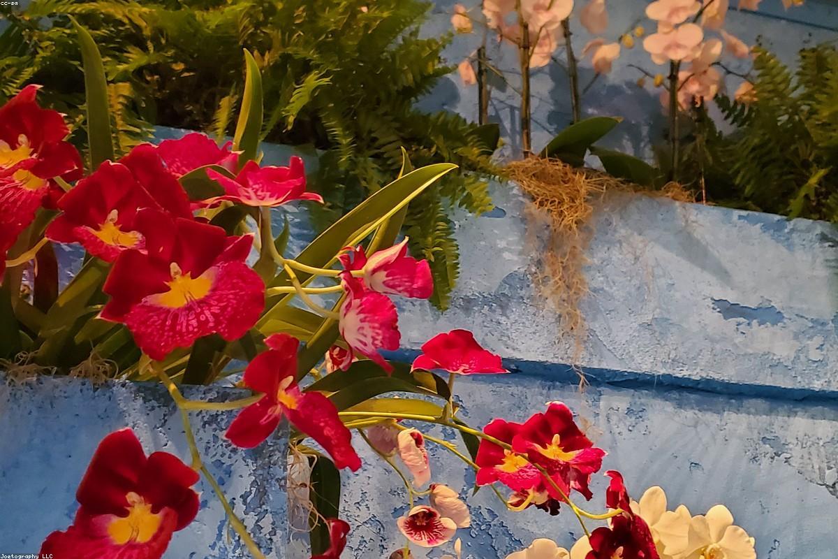 Installateur réglant un système d'arrosage automatique dans un jardin toulousain